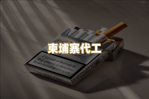 福建云霄精仿